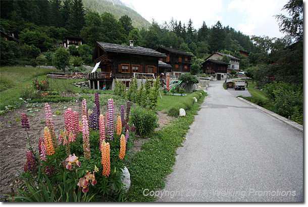 Tour de Mont Blanc, La Fouly - Champex